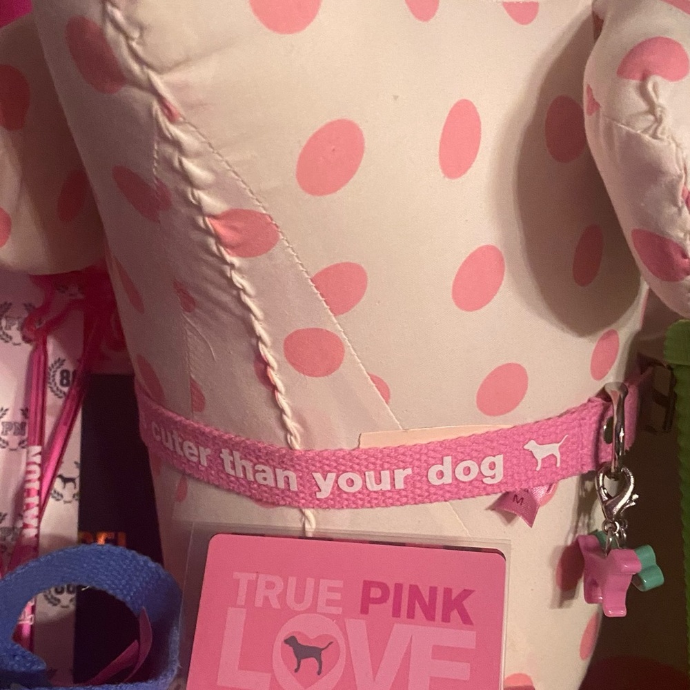 Cute PINK collar